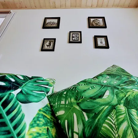 Into The Wild - T2 Cosy Confort Daire