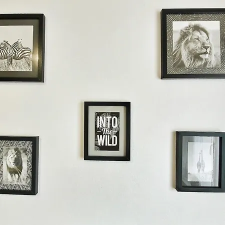 Into The Wild - T2 Cosy Confort