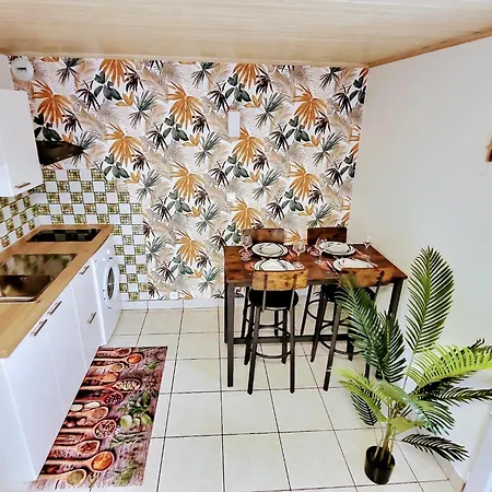 Into The Wild - T2 Cosy Confort Apartment